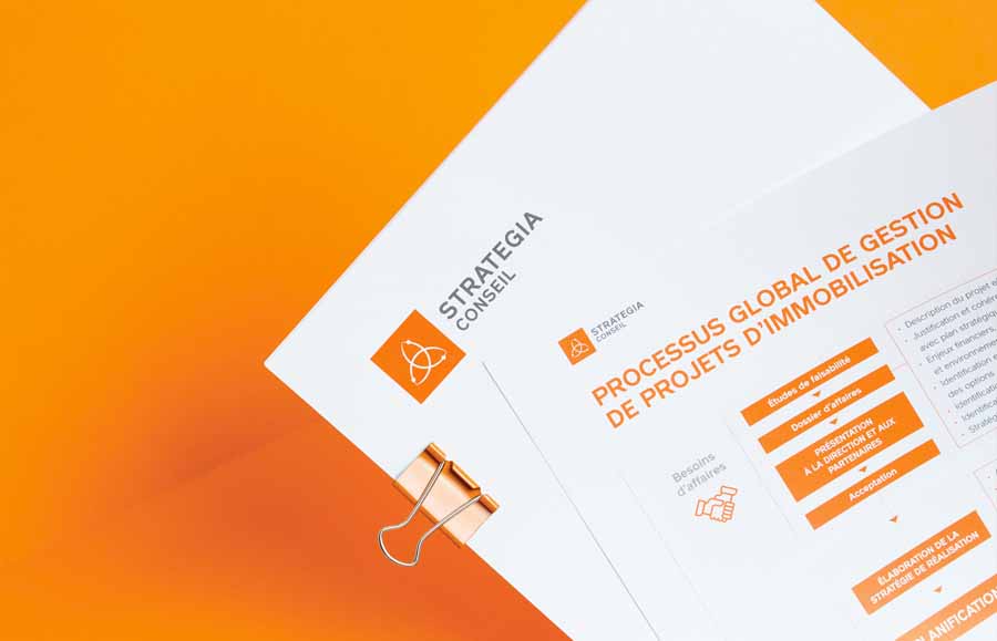 Strategia Conseil